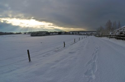 Snow under the sunbeams_5267910467_l.jpg